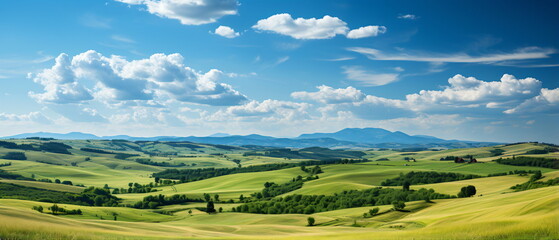 field of grass and perfect sky