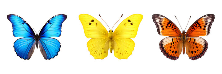 butterflies isolated on transparent background