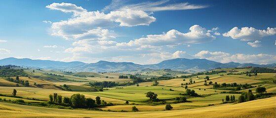 Fototapeta premium field of grass and perfect sky