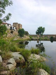 Fototapeta premium River in nature