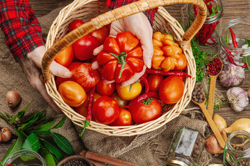 Preserved season vegetable concept. Harvest of tomato, chili, greens, onion and garlic