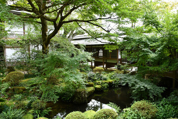 京都 大原三千院の日本庭園