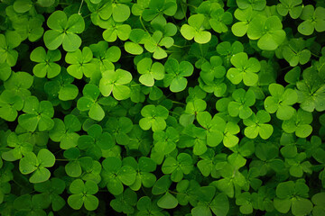 Green Clover Field Texture For Background Created Using Artificial Intelligence