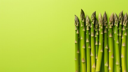 healthy Asparagus on isolated green, copy space