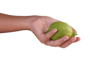 hand holding an green lime