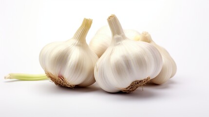 healthy Garlic on isolated White, copy space
