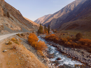 Mountain autumn landscape. dirt road with a stream and forest in toned colors in Kyrgyzstan