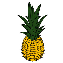 파인애플 Pineapple