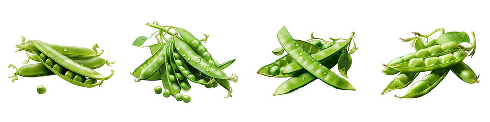 Mangetout Snow peas Vegetable Hyperrealistic Highly Detailed Isolated On Plain White Background - obrazy, fototapety, plakaty
