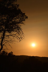 árbol, de invierno, naturaleza, cielo, nieve, sucursal, bosque, azul, catarro, blanco, escarcha, primavera, árbol, hielo, ciclos, sucursal, paisaje, abedul, fábrica, congelada, clima, aparcar, 