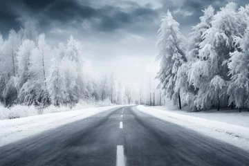 Foto op Canvas Asphalt concrete road with winter forest © Inna