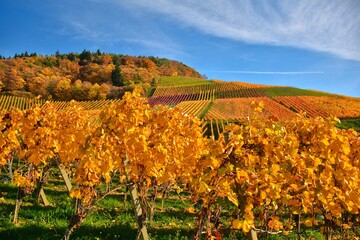 Naklejka premium autumn in the mountains