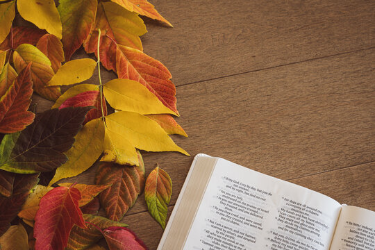 Bible and autumn leaves on a light wood background with copy space