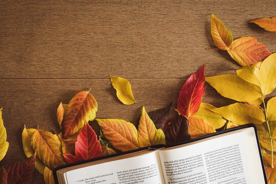 Open bible on a autumn leaves on a light wood table with copy space