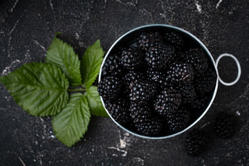 Freshly picked blackberries in a metal bowl with a green leaves on the black moody background