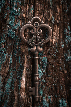 Vintage key on a background of old wood.
The key to success. The key to knowledge.
