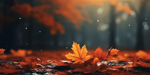 Foto auf Leinwand autumn fall leaves background cinematic © Young