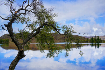 Loch Tarff in the Scottish highlands. It is a small loch near Fort Augustus and Loch Ness.