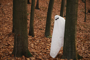 Happy Halloween! Funny ghost with black glasses peeking out of a tree in moody autumn forest. Person dressed with white sheet as stylish ghost trick or treating in evening fall woods.