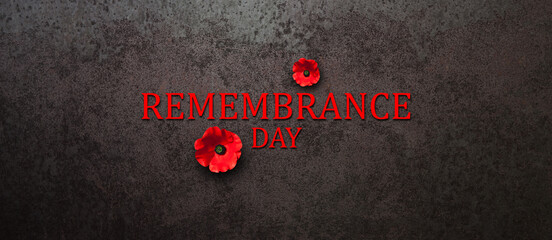 Remembrance Day inscription with Poppy flower on rusty iron background. Decorative flower for...