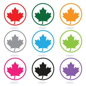 Canadian Maple Leaf Many Colors Icon Vector Template
