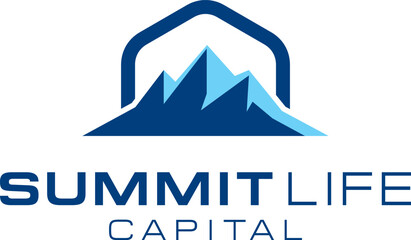 mountain summit in the form of a modern vector logo