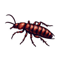 Earwig illustration art with a transparent background generative AI.