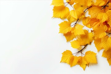 Yellow autumn leaves on white background with space for adding a message, resembling a layered postcard. Generative AI