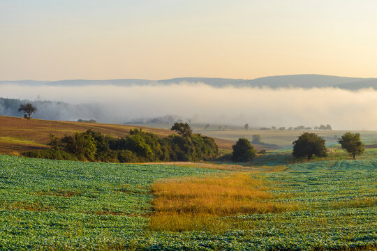 Countryside with morning mist over the fields in the community of Grossheubach with the Spessart hills in the background in Bavaria, Germany
