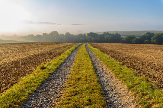 Countryside with dual track road path and morning mist in autumn in the village of Schmachtenberg in Bavaria, Germany