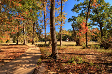 Autumn Path In An East Texas Park with an oil derrick in the distance - 657851609