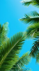 Fototapeta premium Vibrant green palm leaves against blue sky