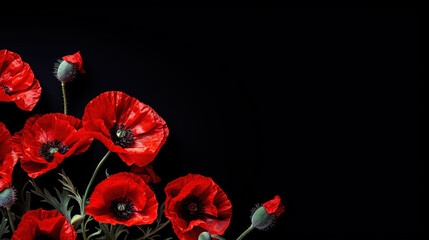 Red poppy flowers on black background. Memorial Day, Honoring and Remembering. Veterans Day