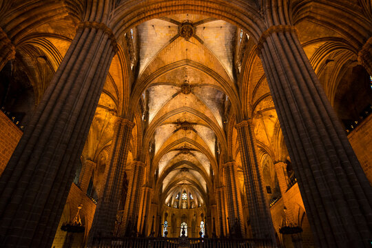 View of the columns and vaulted ceiling of the Barcelona Cathedral; Barcelona, Spain