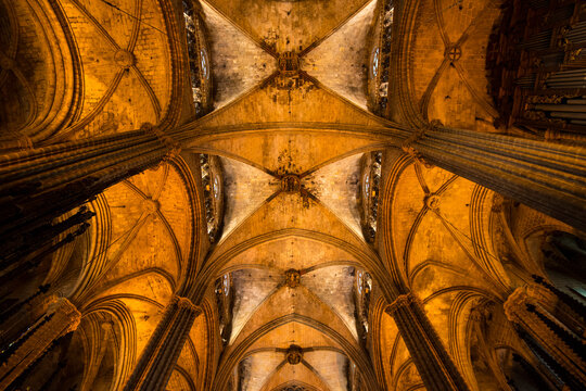 View of the columns and vaulted ceiling of the Barcelona Cathedral; Barcelona, Spain