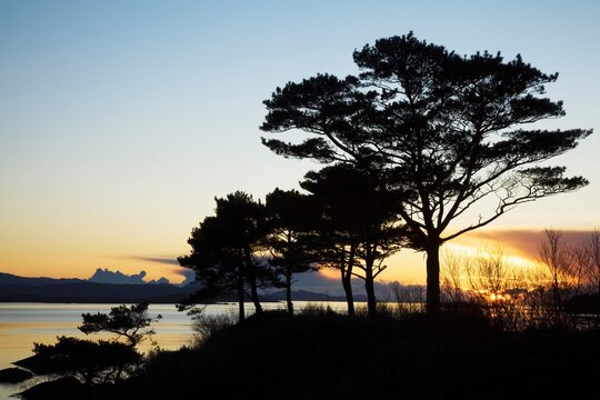 Parknasilla, County Kerry, Ireland; Sunset Over Kenmare Bay