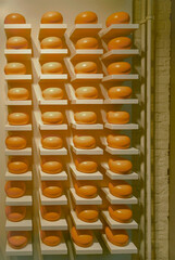 shelves with heads of cheese