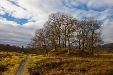 Rural Pathway; Langdale, Cumbria, Ireland