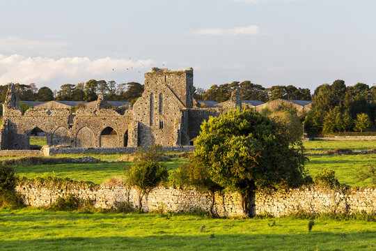 Stone Ruin In Grassy Field With Stone Fence; Cashel, County Tipperary, Ireland