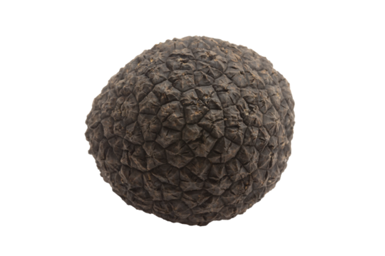 truffe, en gros plan, isolé sur un fond blanc