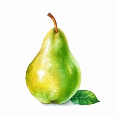 watercolor illustration of a fresh green pear isolated on white