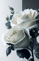 white roses on a two tone background, Generative AI