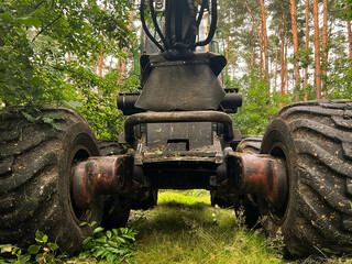 forestry harvester during a stoppage among trees in the fores - obrazy, fototapety, plakaty