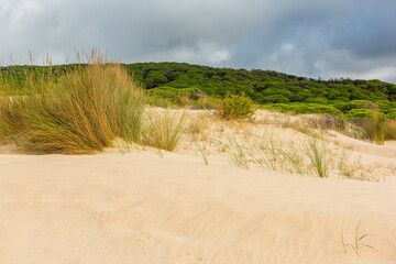 Valdevaqueros dune in Tarifa, Cadiz, Spain