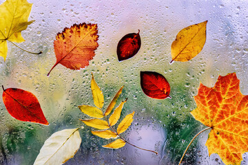 Autumn window decor against raindrops