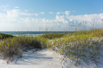Pristine Gulf of Mexico seaside beach view through the sand dunes