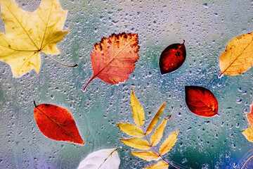 Creative autumn leaves arrangement on window