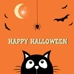 halloween background and black cat