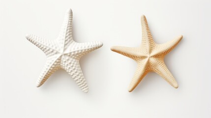 Fototapeta na wymiar two different types of white starfish isolated over a white background, ocean / sea / beach / summer vacation design element, flat lay / top view with subtle shadows
