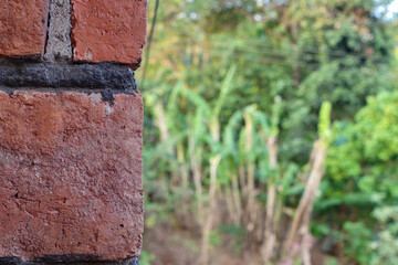 wallpaper and background for home walls